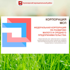 Имущественная поддержка в рамках национального проекта по малому и среднему предпринимательству